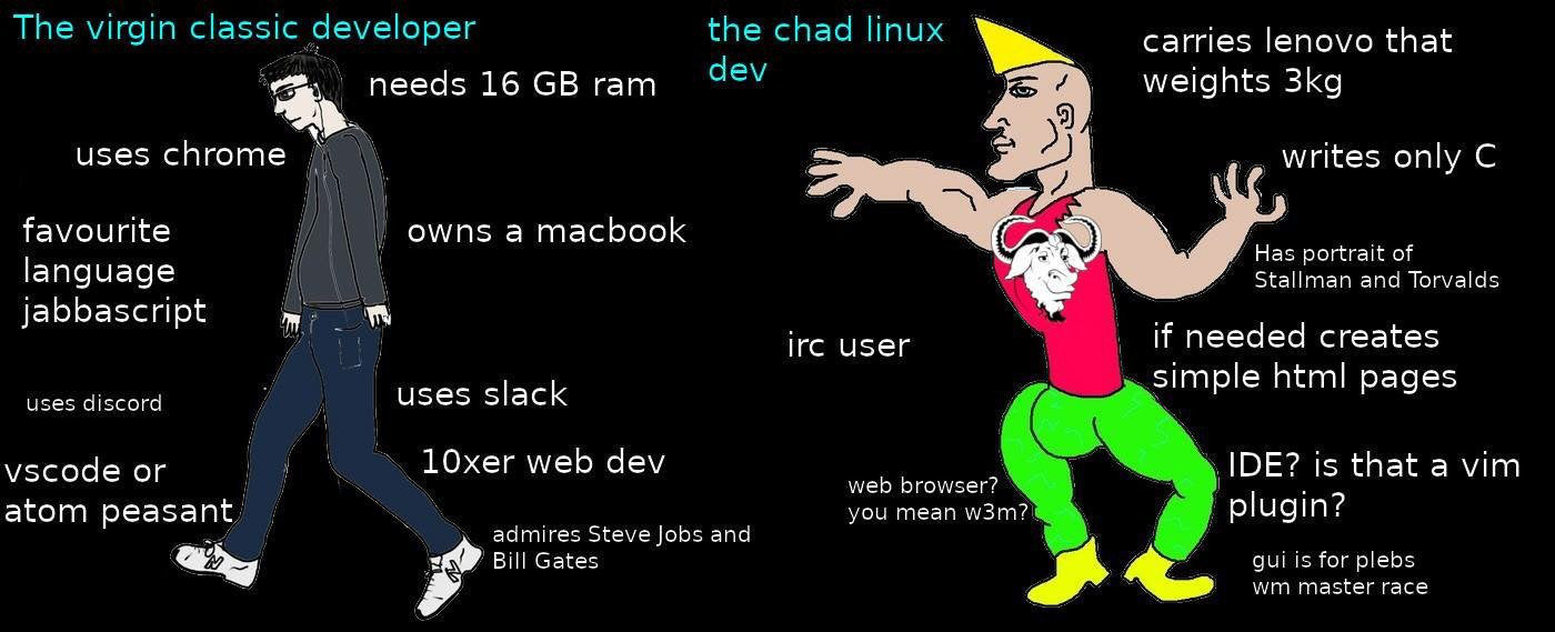 The virgin classic developer vs the chad linux dev